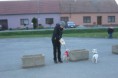 /album/detsky-den-/p1050819-jpg/